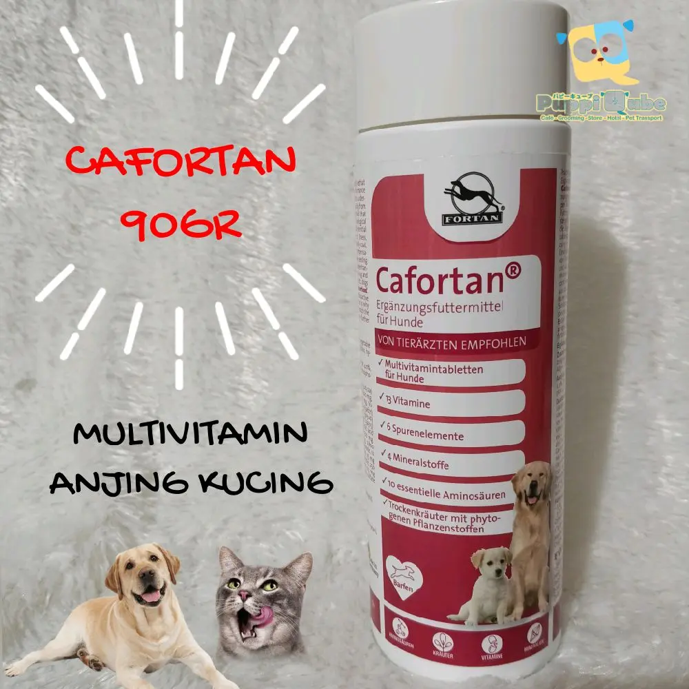 CAFORTAN 90gr - 180 tablets - Multivitamin Anjing - Shop | Tokopedia