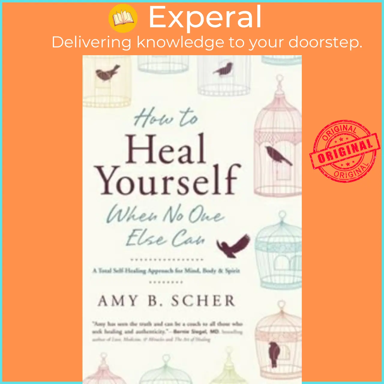 How to Heal Yourself When No One Else Can : A Total Self-Healing Approach for Mind, Body, and Spirit by Amy B. Scher (US edition, paperback) - 9780738745541