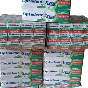 Ciptadent Pasta Gigi 30gram 12 Pcs 1 Lusin Maxi Plus Mint Segar Untuk Perawatan Gigi Mulut Gusi