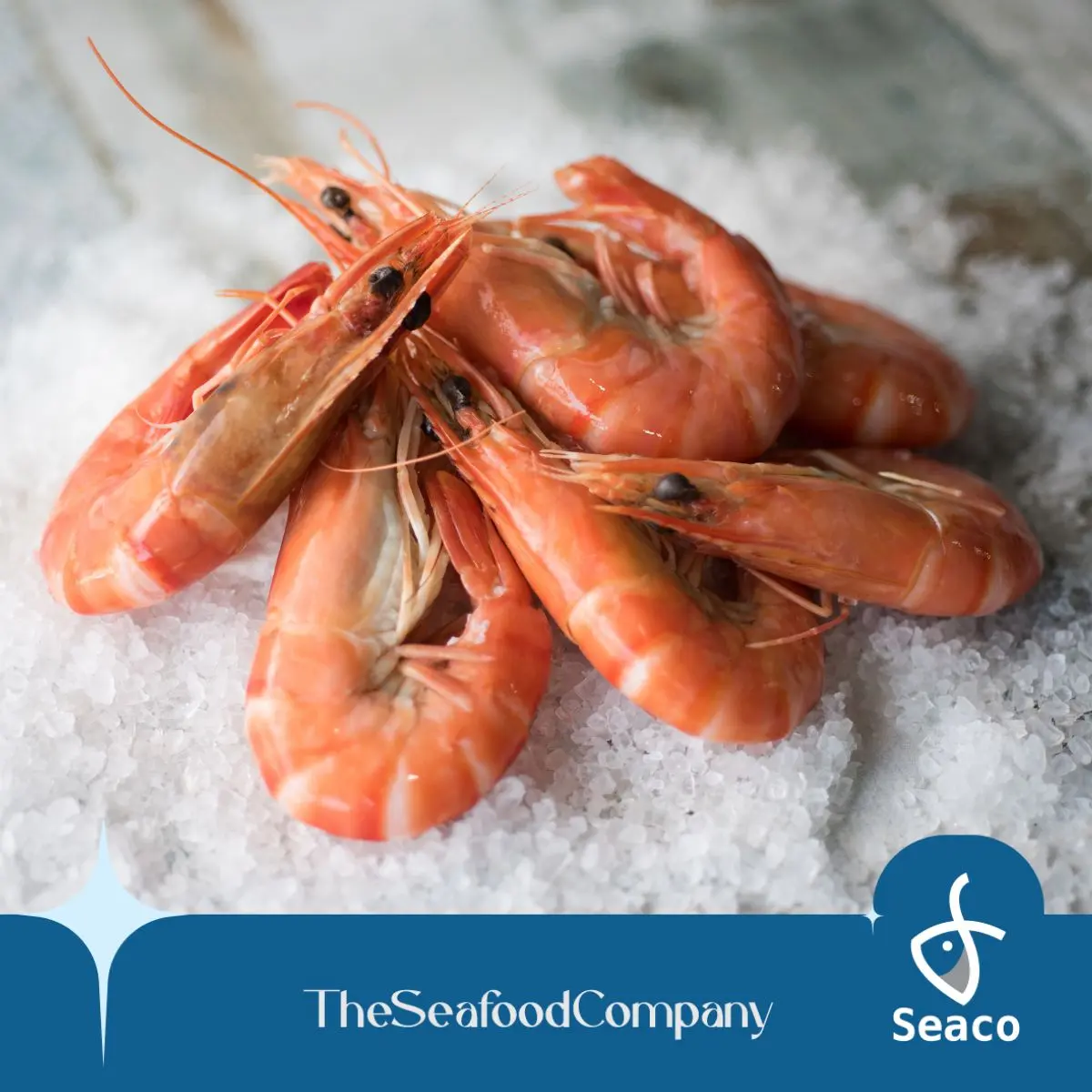 [SEACO] Red Sea Cooked Vannamei Prawn (20-30) 700gm