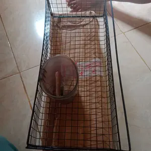OKK Tempat Sikat Gigi Tempel Dinding Beruang Dispenser Odol Anak