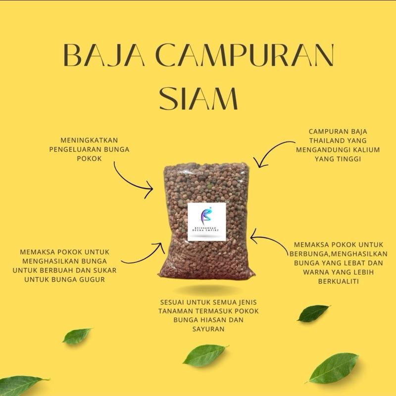 Original Campuran Baja siam / baja bunga / baja mix / baja paksa subur / baja paksa bunga