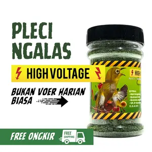 GEMA KICAU - High Voltage PLECI NGALAS dan burung kecil lainnya Pakan Murah Berkualitas
