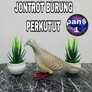 boneka patung jontrot burung perkutut