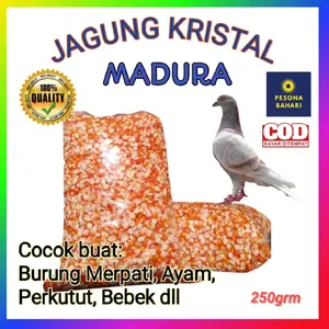 JAGUNG KRISTAL repack kemasan plastik ukuran 250grm PAKAN BURUNG DARA, MERPATI, AYAM, HAMSTER DLL