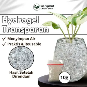 Hydrogel Transparan - Media Tanam Hidroponik Tanaman Hias Warna Transparan atau Toping Media