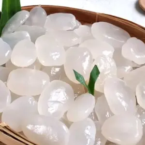 Kolang Kaling Premium Super Jumbo Gemoy Besar Segar Siap Olah 1Kg Manisan Kolek Takjil dan Es Campur