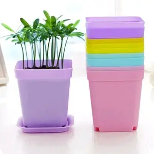 Pot Kotak Warna-warni Diameter 7cm