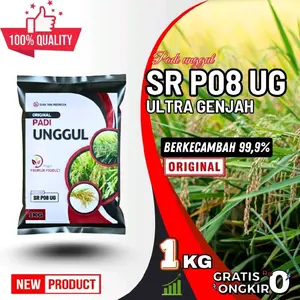 Benih Padi Unggul SR PO8 UG Ultra Genjah Kemasan 1-5KG Berkecambah 99,9% Original Premium