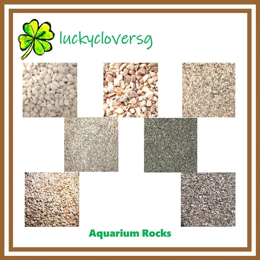 [WHOLESALE] Aquarium Rocks / Terrarium Pebbles / Rock / Pebble / River Wash