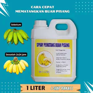 Isi Ulang Karbit Cair Untuk Pematangan Buah Pisang | Cairan Pematangan Buah Pisang 1 Liter Siap Pakai