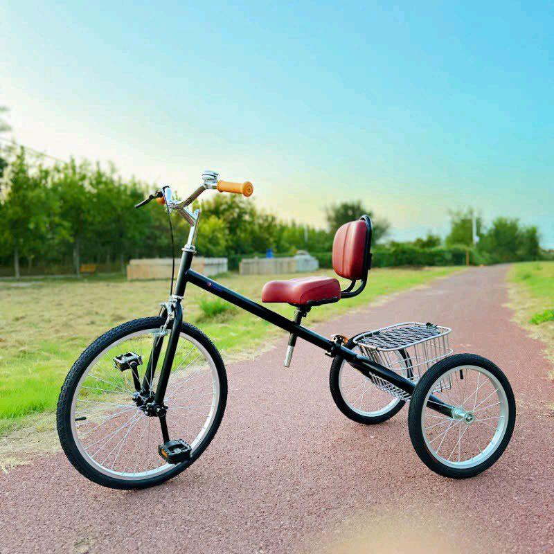 XE ĐẠP BA BÁNH CHO NGƯỜI LỚN NGƯỜI GIÀ BẢN HẠNG SANG