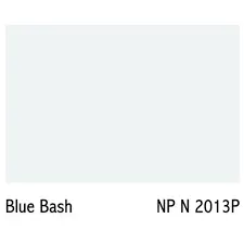 N 2013P BLUE BASH
