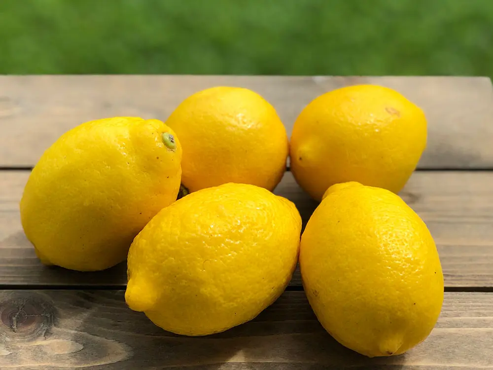 SOUTH AFRICA Lemons 5pcs/Box