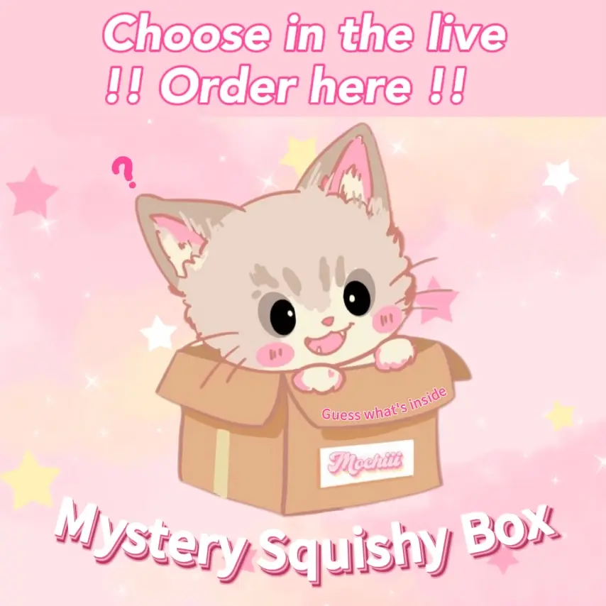 【Mystery Squishy Box】Stress Relief Toy Taba Squishy Handmade