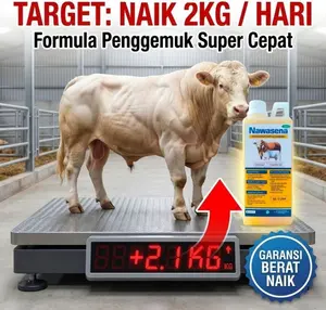 NAWASENA Vitamin Sapi Penggemuk 1Liter - Penggemuk Sapi PO & Sapi Lokal, Suplemen Ternak Penambah Nafsu Makan & Pertumbuhan