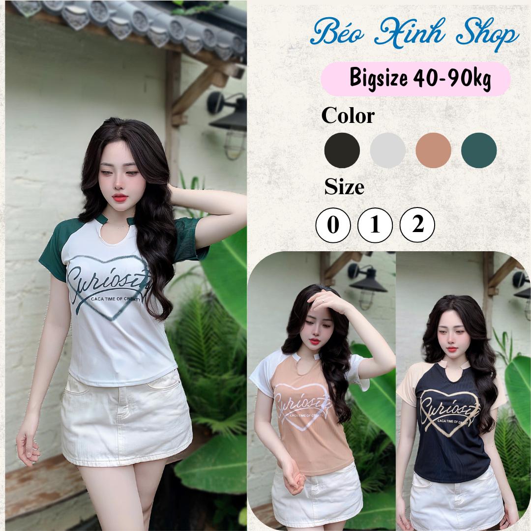 Áo Thun Cổ Tròn In Hình Phối Cổ Chữ U Vải Thun Tăm Có Bigsize 45- 90 Kg Dễ Thương Nữ Women Top - A.1514