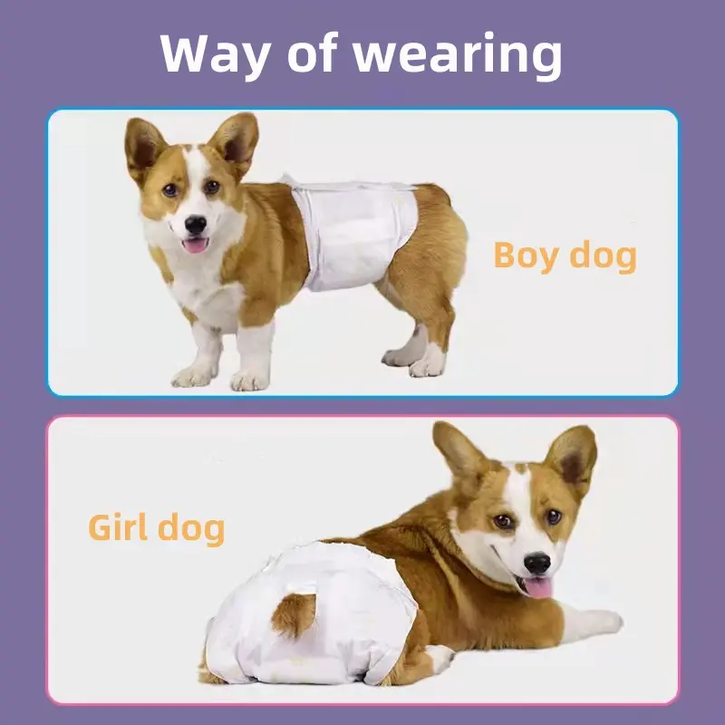 Dog diapers Pet diapers absorbent pet menstrual pants deodorizing disposable male dog physiological pants special