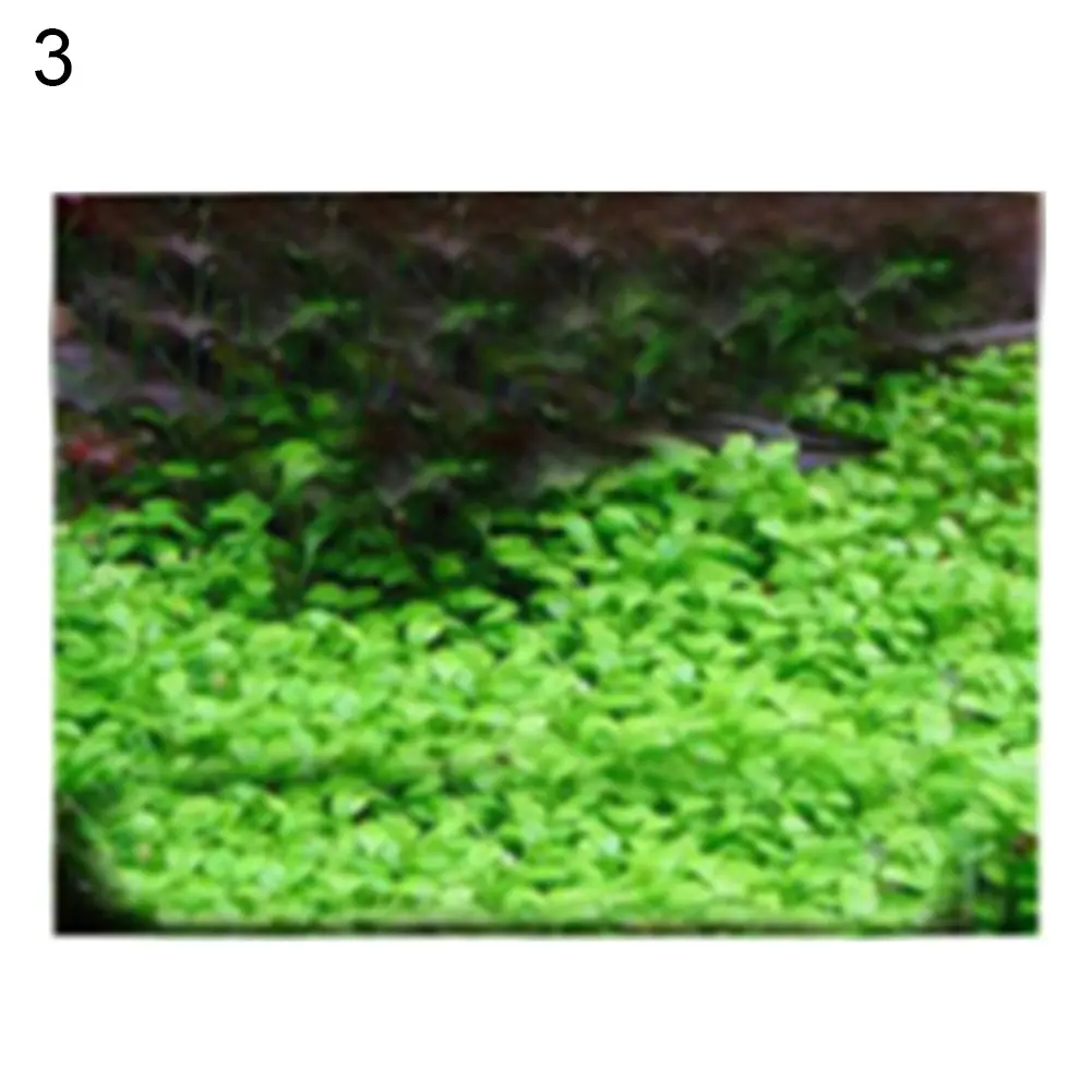 Ijsjwu 100Pcs Aquarium Water Grass Seeds Fish Tank Hydrophilous Plant Landscape Decor