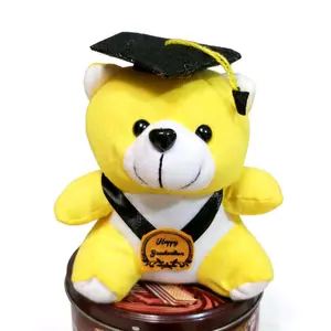 boneka bear wisuda kombinasi 15 cm kalung  buket mainan pajangan