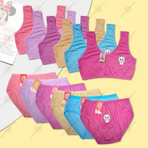 Paket 6 Set Dalaman Motif Marie Anak Perempuan Celana Dalam Anak Miniset Anak SD/SMP Warna Cerah & Motif Lucu