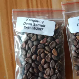 Benih Sayuran Rumahan All Varian lengkap - Benih Sayur Mudah Tumbuh Cocok untuk Pemula - Benih Seribuan