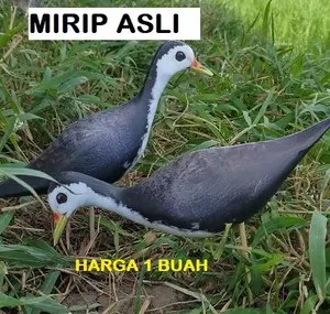 JONTROT RUAK RUAK PATUNG BURUNG TRUWOK BONEKA KAREO PADI DEKOY BURUNG SAWAH RUAKRUAK MIRIP ASLI jontrot ruak2 tahan penyok