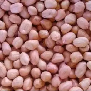 Kacang Tanah Segar dan Berkualitas Tinggi untuk Camilan Sehat dan Nutrisi Optimal