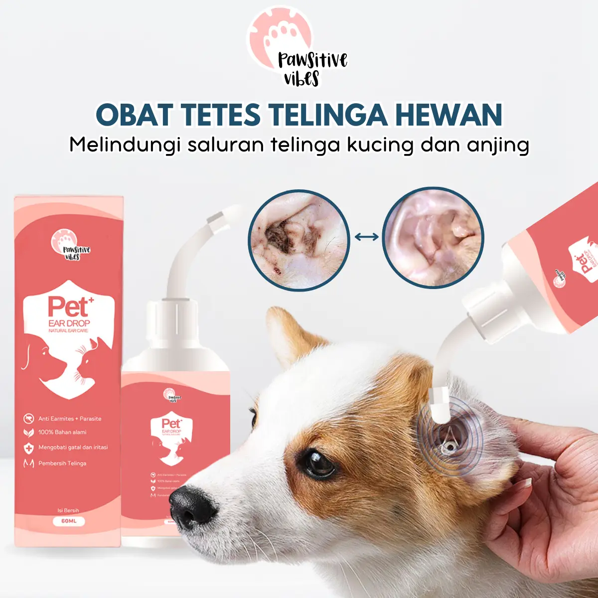 Pawsitive Vibes Obat Tetes Telinga untuk Kucing dan Anjing Hewan Peliharaan Ukuran 60ml Bahan Alami