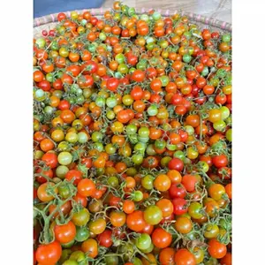 Rampai Segar Khas Lampung 500gr - Cung Kediro/Rampai buat sambel seruit
