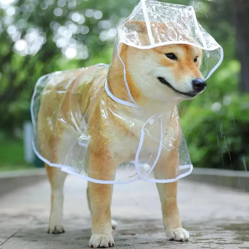 Pet Supplies Dog Raincoat Waterproof New Transparent Plastic Fashion Poncho Personalized Color Edge Costumes for Large Dogs
