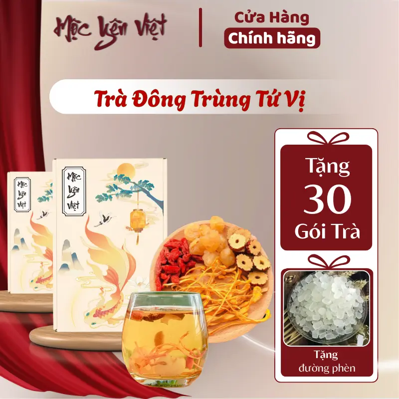 [Tổng Nhận 60 Gói Trà][Mua 1 Hộp 30 Gói Tặng 30 Gói] Trà Đông Trùng Tứ Vị Nguyên Liệu Kỷ Tử Long Nhãn Táo Đỏ Nấm Đông Trùng - Mộc Yên Việt