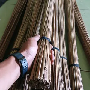 Sapu lidi halaman bahan dari lidi aren asli per 3 ikat siap kirim
