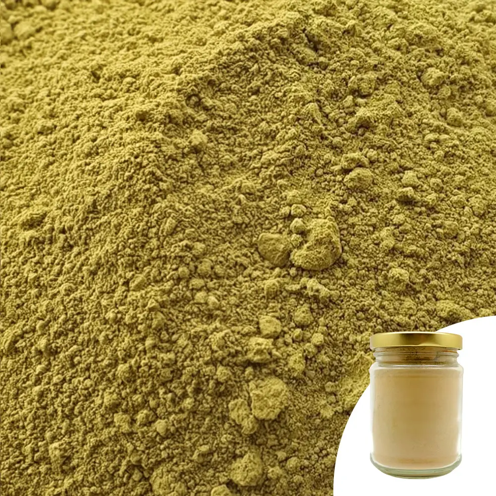 Organic Henna Powder 110G