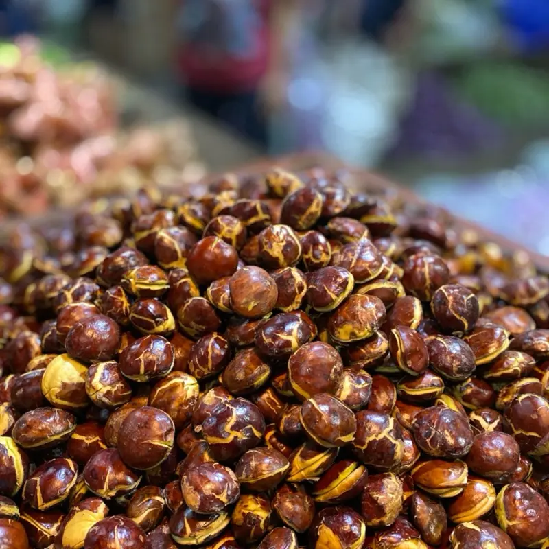 jengkol tua ukuran sedang dan kecil berat 1 kg