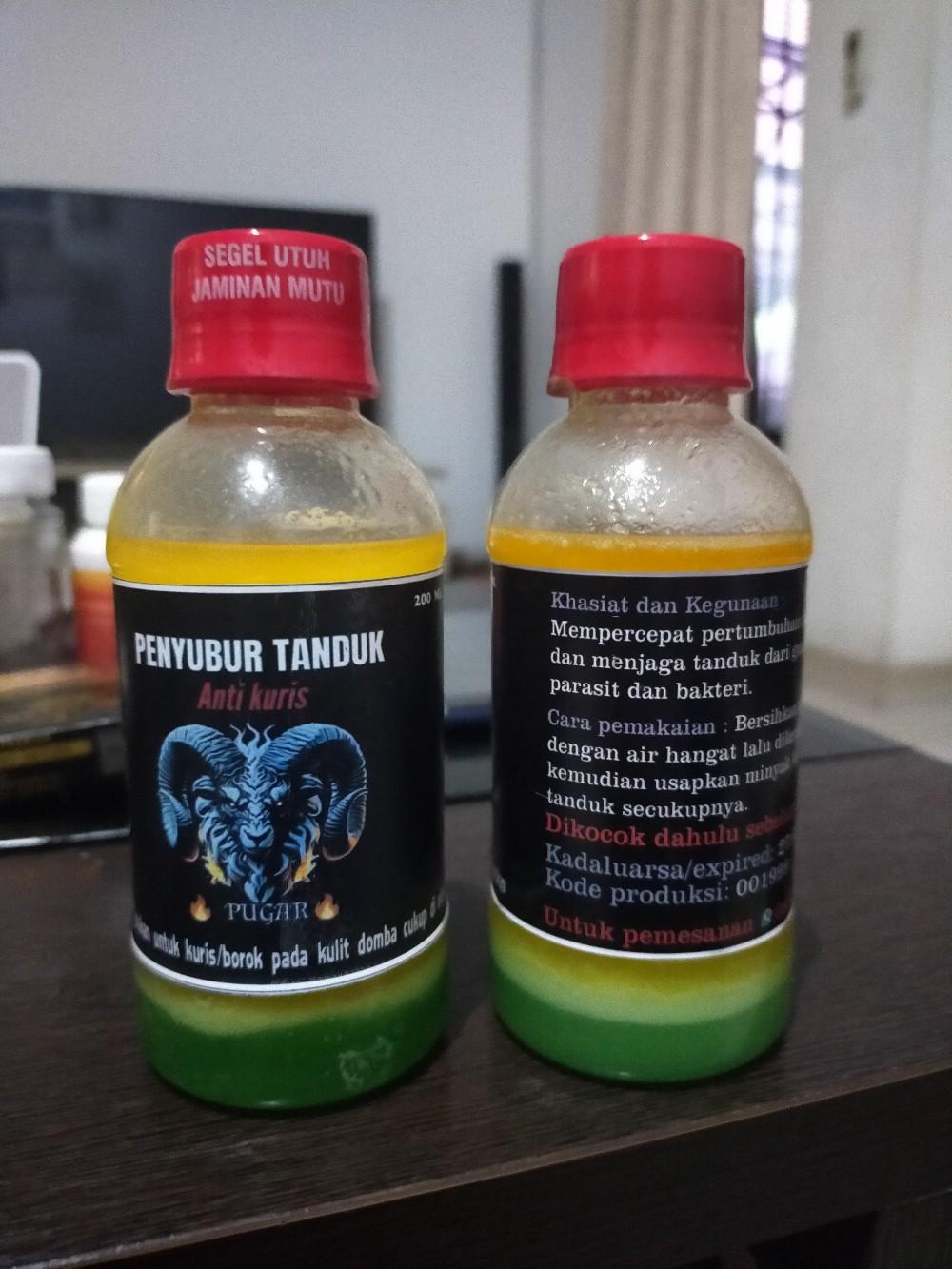 Penyubur tanduk domba kualitas premium anti kuris bukan dari lemak  hewan atau lemak biyawak produk kualitas racikan khusus untuk domba kesayangannya. Terbukti dan teruji. silahkan di order