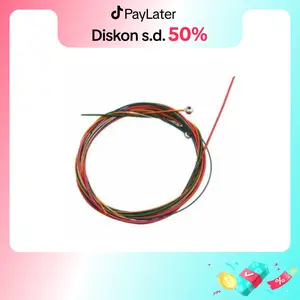 Senar Gitar Akustik Pelangi Shinpo String Rainbow Unpacking 1 Set asli