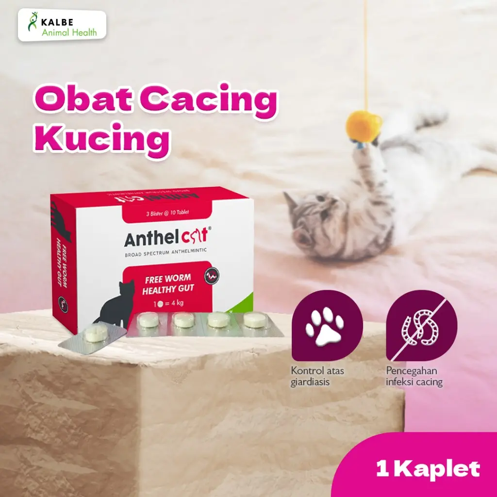 KALBE Anthel Cat Obat Cacing Kucing - 1 Tablet