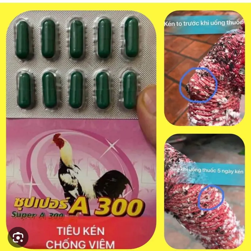 Tiêu kén, tiêu sưng A300 cho gà đá. 1 vỉ 10 viên ( uống 5-7  mồi lần 1 viên )