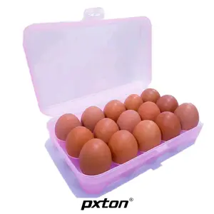 Tempat Telur Isi 15 Sekat Kotak Telor Egg Box