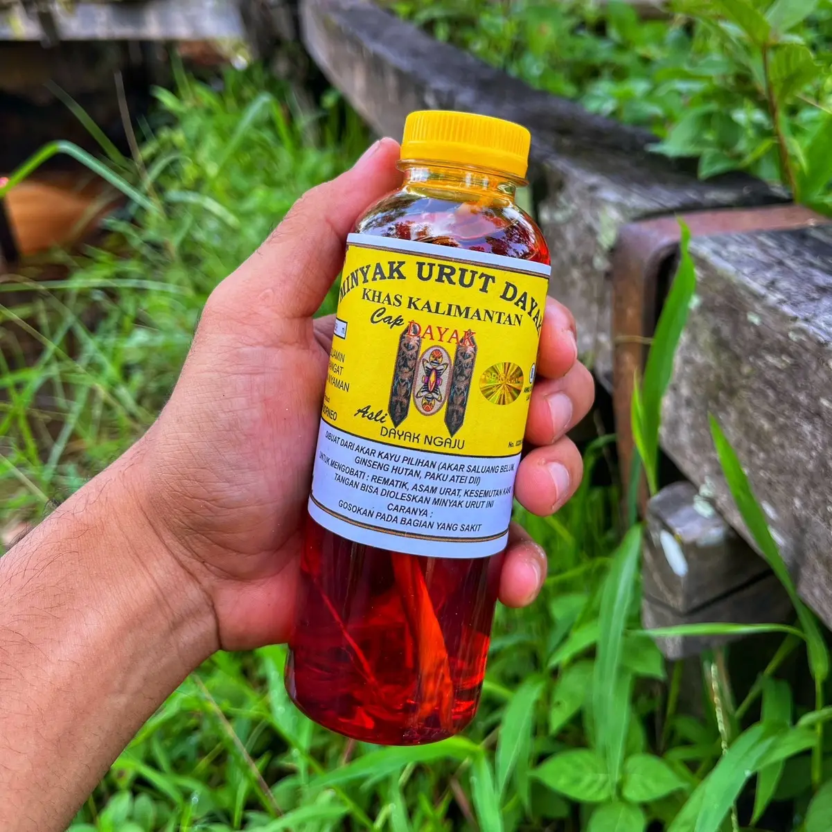 VIRAL Minyak Urut Dayak Original terbuat dari tumbuhan dan berbahan herbal