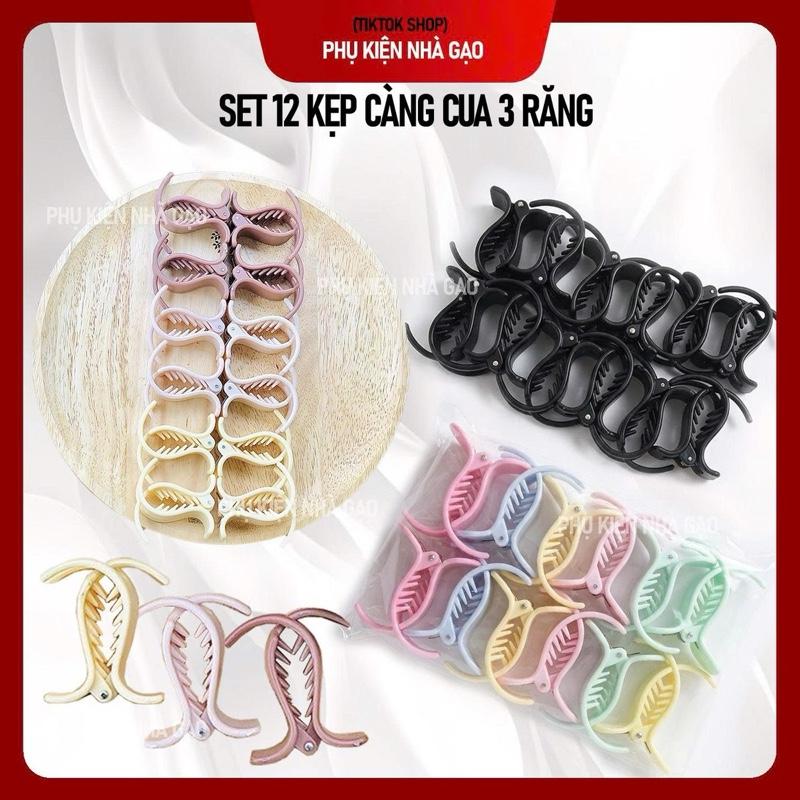 SET 12 KẸP CÀNG CUA 3 RĂNG, NHIỀU MÀU SẮC TỰ CHỌN, kẹp càng cua, kẹp tóc nữ