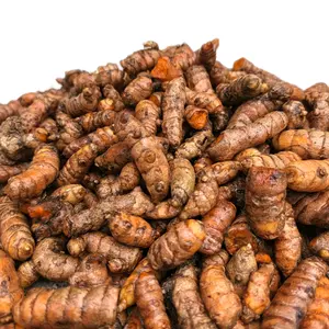 Kunyit Leles (KUNYIT KECIL buat Ulegan) 1 kg