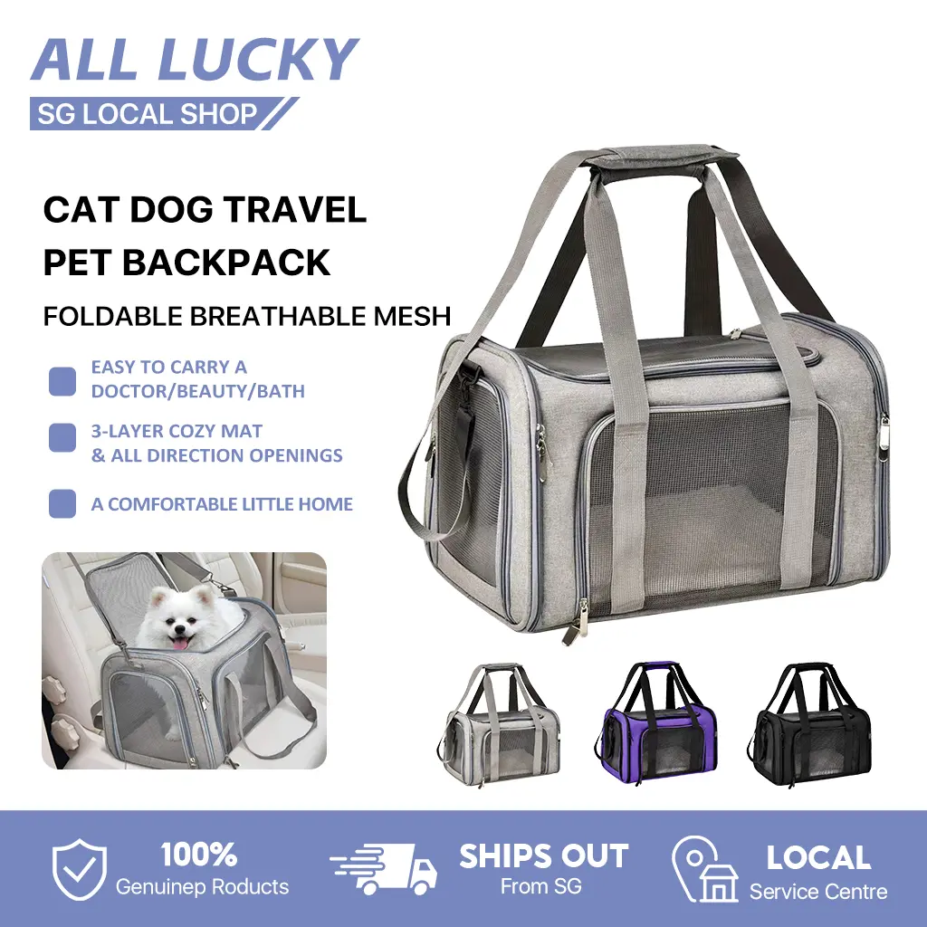 Outdoor Travel Pet Carrier Puppy Cat Carriers Collapsible Dog Carrier for Small Dogs Cat Crates Breathable Mesh