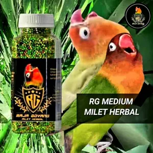 PAKAN MEDIUM RAJAGOYANG,TERCEPAT BIKIN LOVEBIRD NGEKEK FIGHTER DURASI