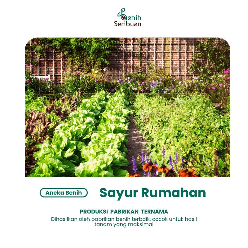 Benih Sayur Sayuran Benih Seribuan Varian Lengkap
