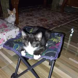 FUNBEAR Kursi Lipat Camping Kursi Lipat Outdoor Portabel Kursi Gunung Bangku Bahan Oxford Polyester