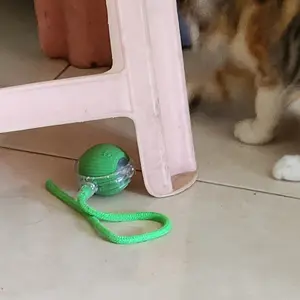 Mainan Kucing Cat Toys Kitten Bola Kerincing