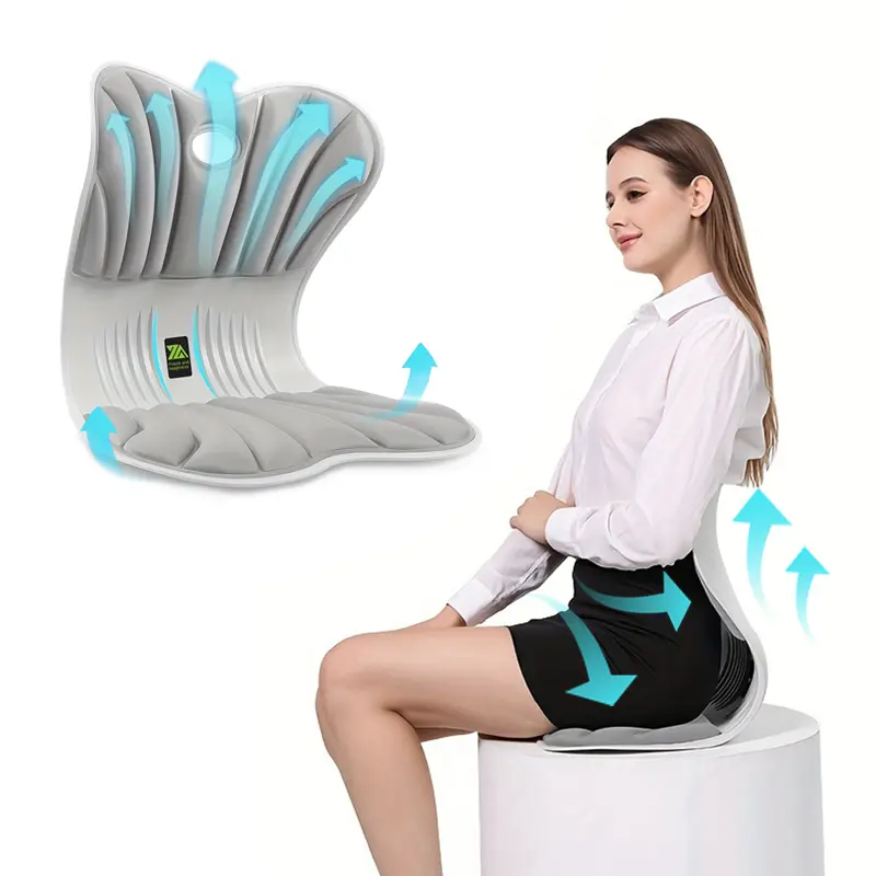 Lemowell Posture Correction Chair Ergonomic Memory Foam Lumbar Support Cushion Corrector Waist Back Support for Office Chairs Car Seats and Home