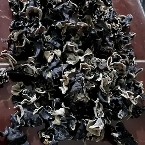 Jamur kuping kering 1kg sedang Food Mushroom Lezat enak